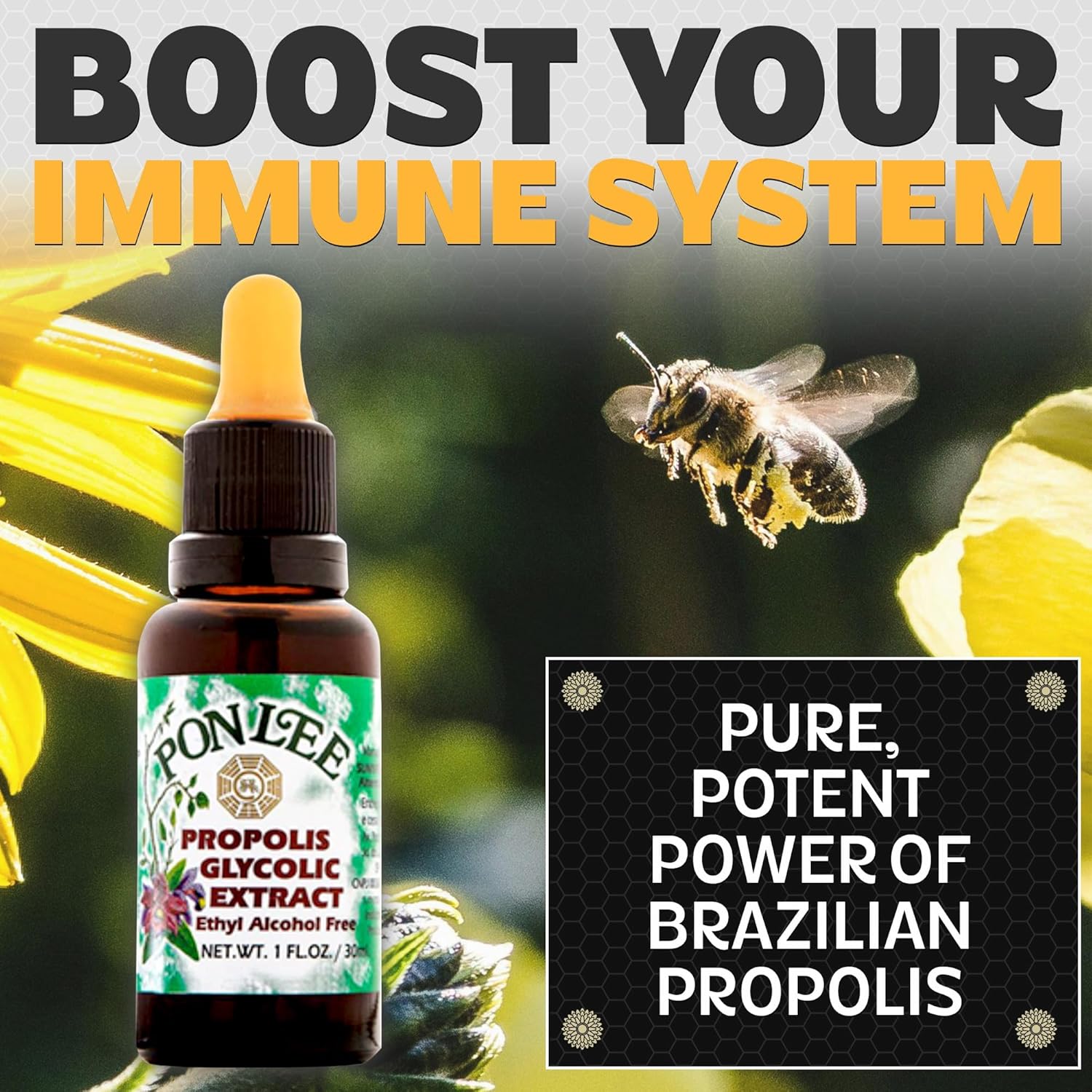 PONLEE Brazil Green Bee Propolis Liquid Extract (Ethyl Alcohol-Free)